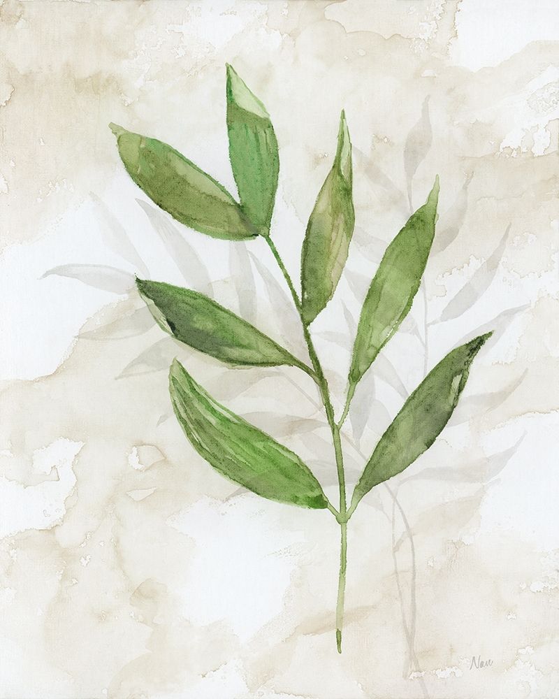 Botanical Bliss II art print by Nan for $57.95 CAD