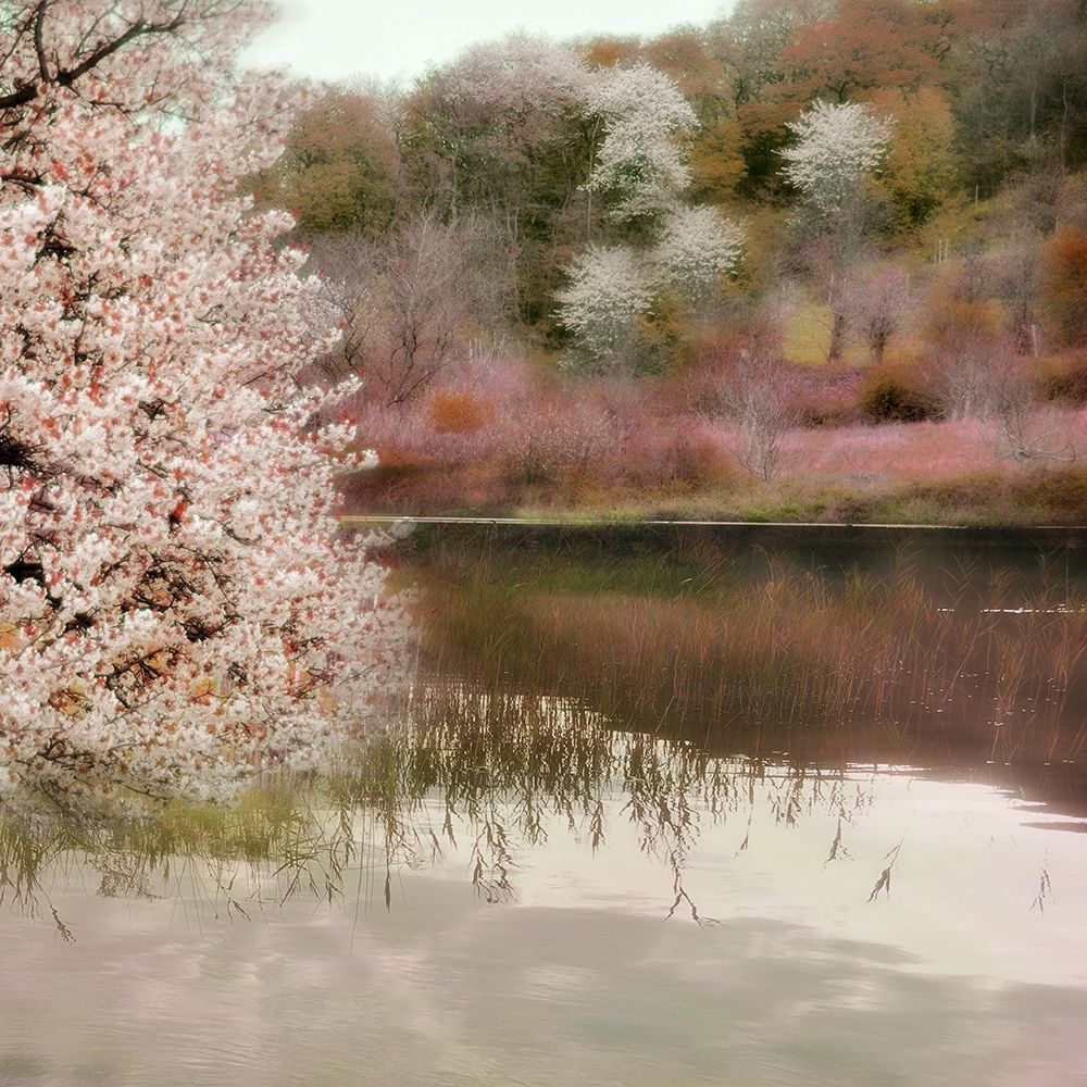 Fell the Joy of Spring art print by Irene Weisz for $57.95 CAD