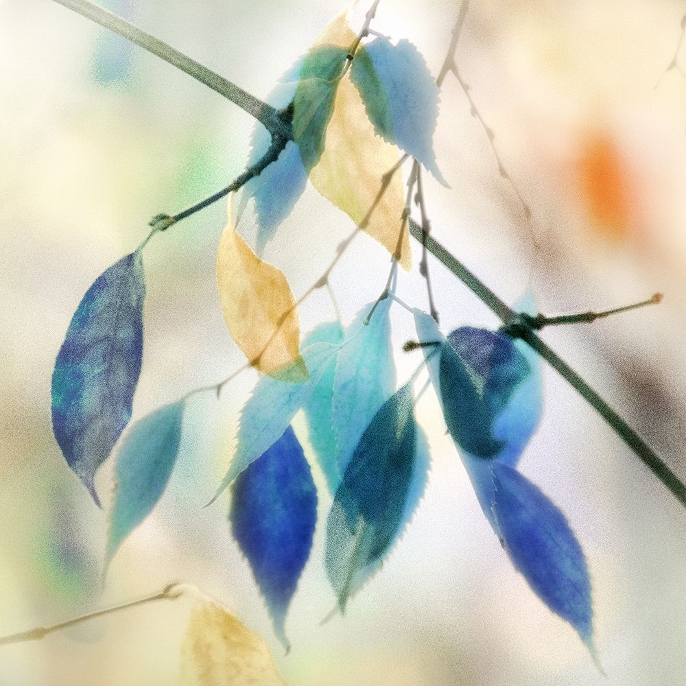 Colors for Joy I art print by Irene Weisz for $57.95 CAD