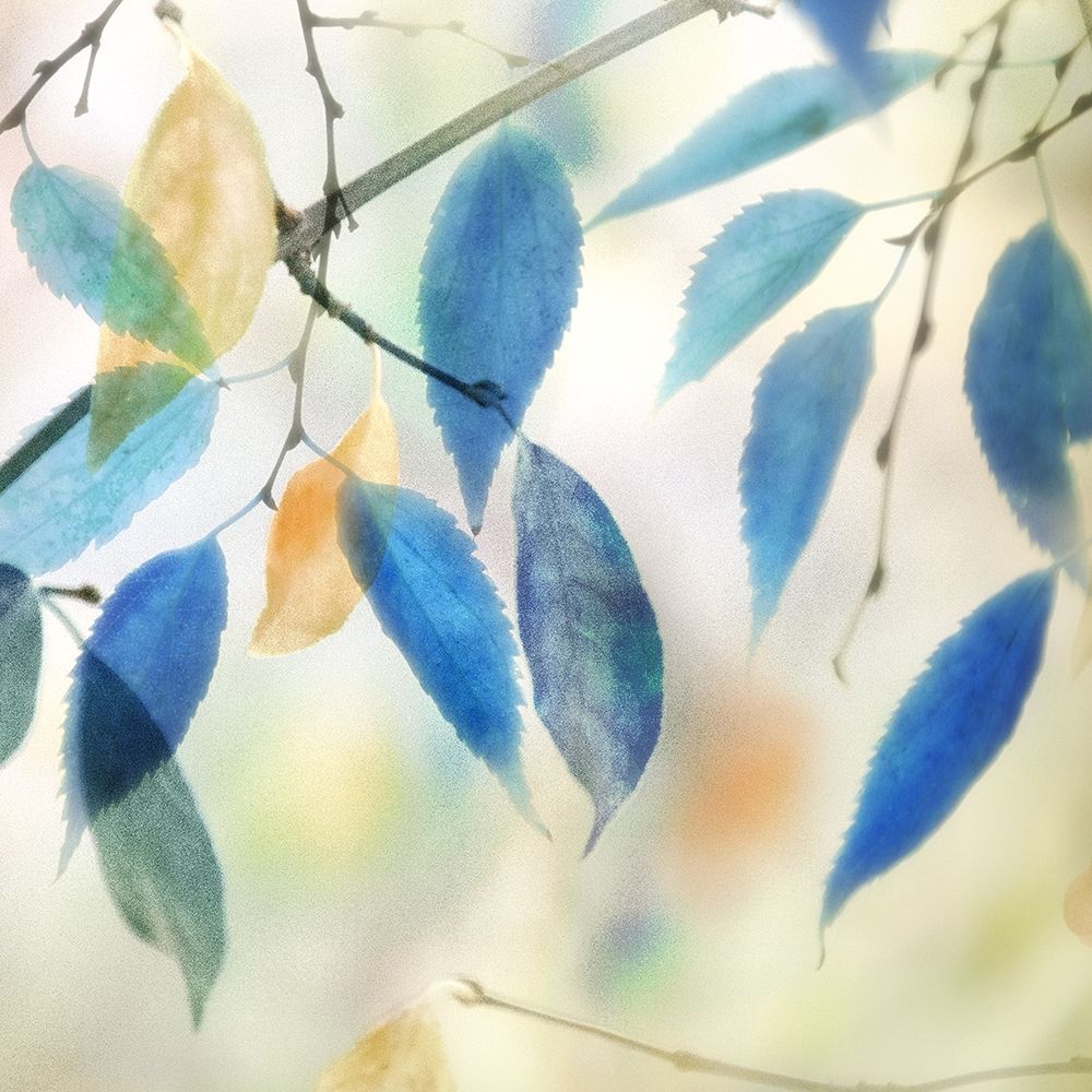 Colors for Joy II art print by Irene Weisz for $57.95 CAD