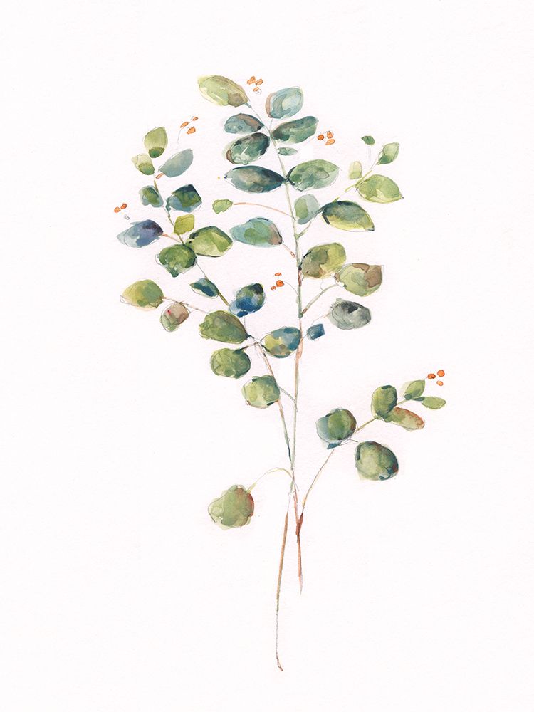 Eucalyptus I art print by Sally Swatland for $57.95 CAD