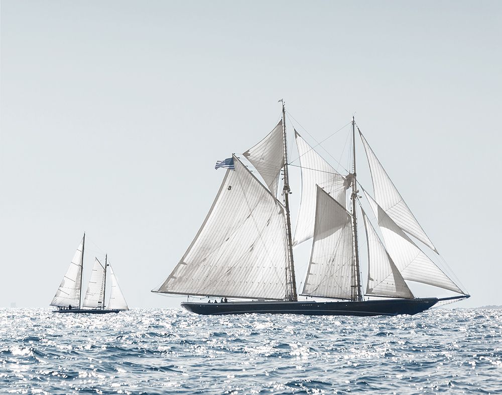 Cape Ann Sails art print by Danita Delimont for $57.95 CAD