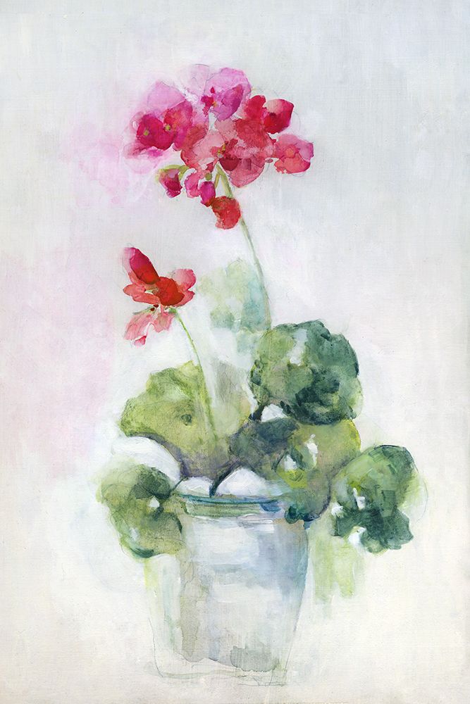 Soft Geranium I art print by Sally Swatland for $57.95 CAD