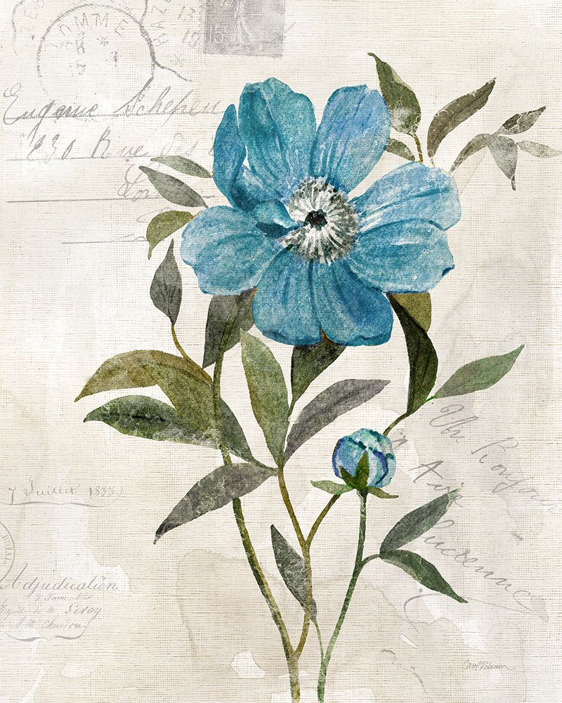 Linen Peony art print by Carol Robinson for $57.95 CAD
