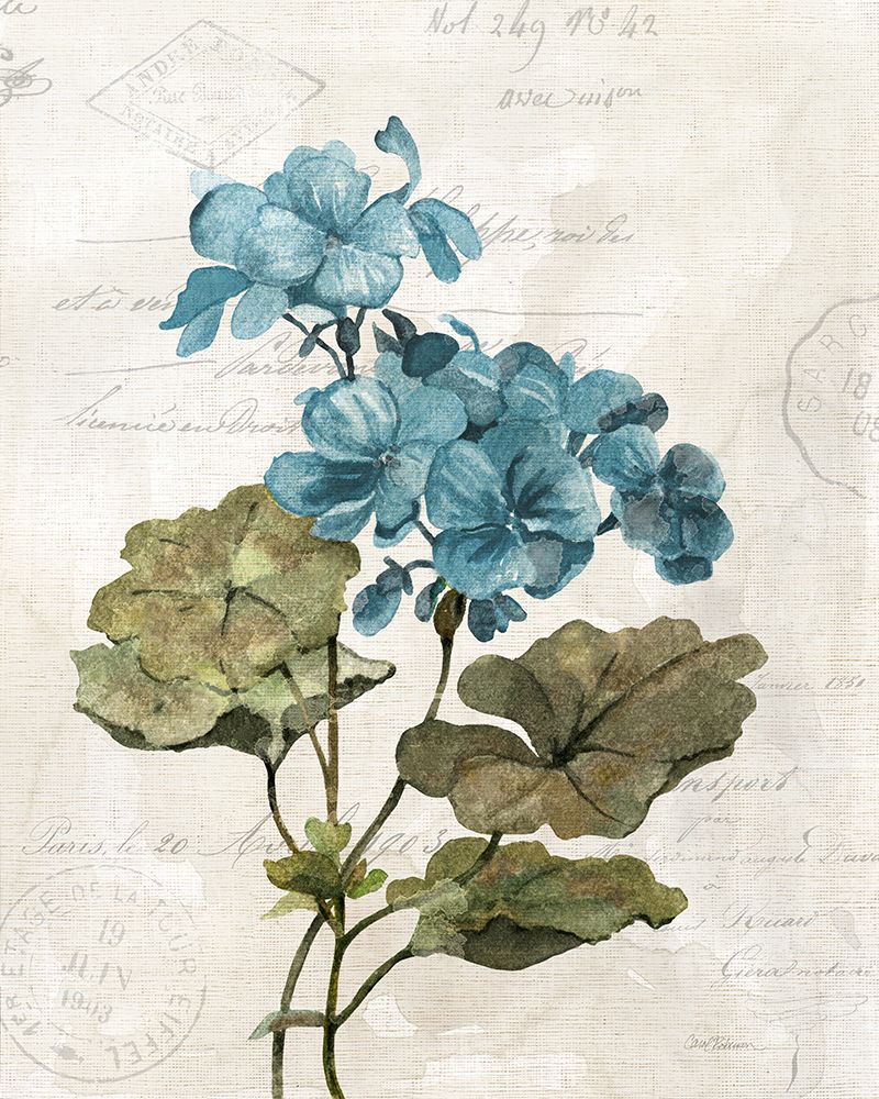 Linen Geranium art print by Carol Robinson for $57.95 CAD
