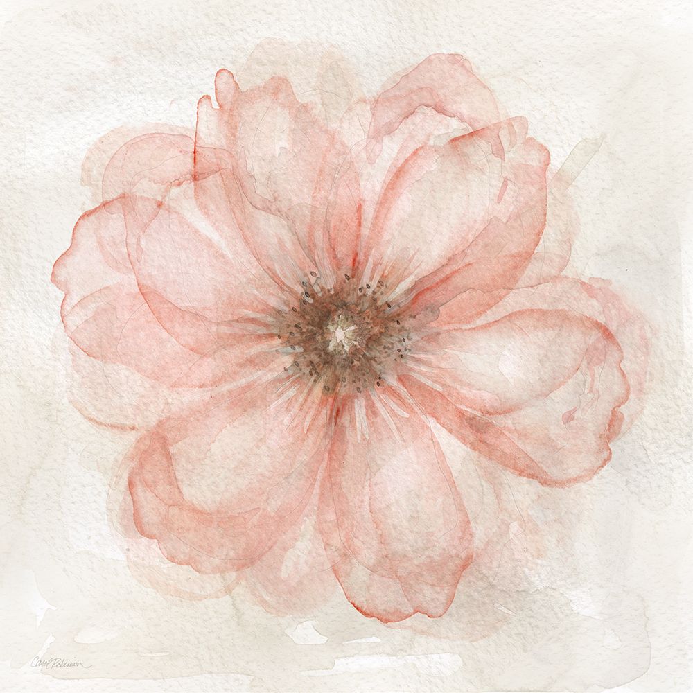 Pink Posy I art print by Carol Robinson for $57.95 CAD