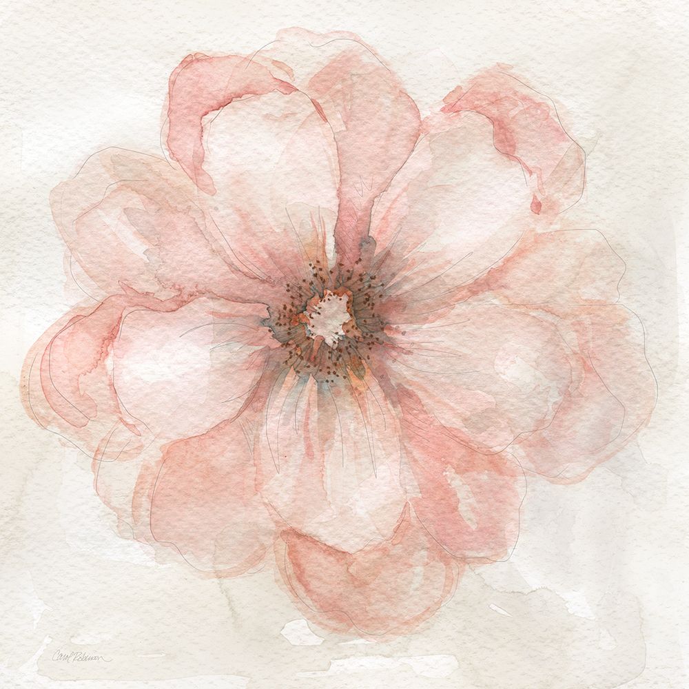 Pink Posy II art print by Carol Robinson for $57.95 CAD