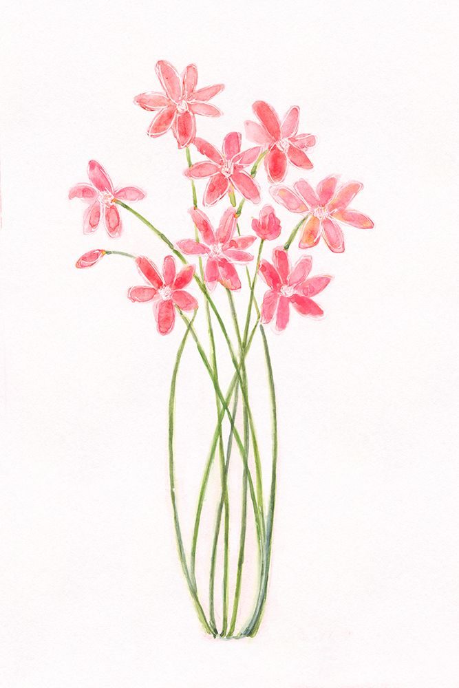 Intertwined Bouquet II art print by Sally Swatland for $57.95 CAD