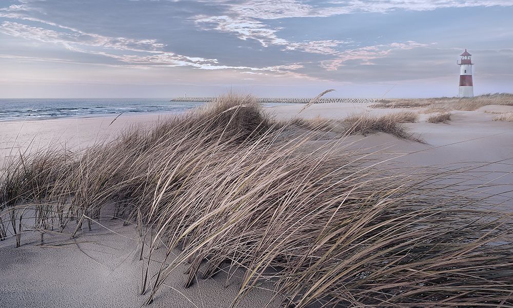 Winter Wind art print by Mike Calascibetta for $57.95 CAD