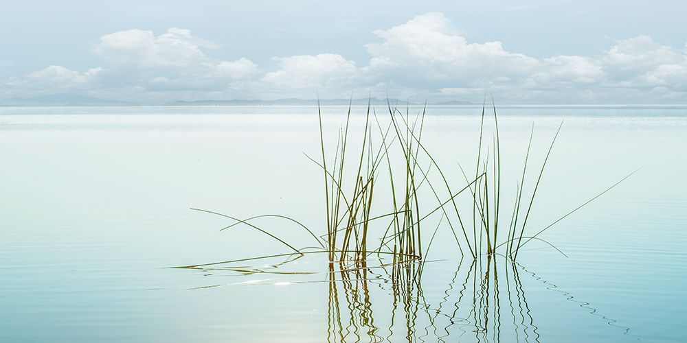 Reflections art print by Mike Calascibetta for $57.95 CAD