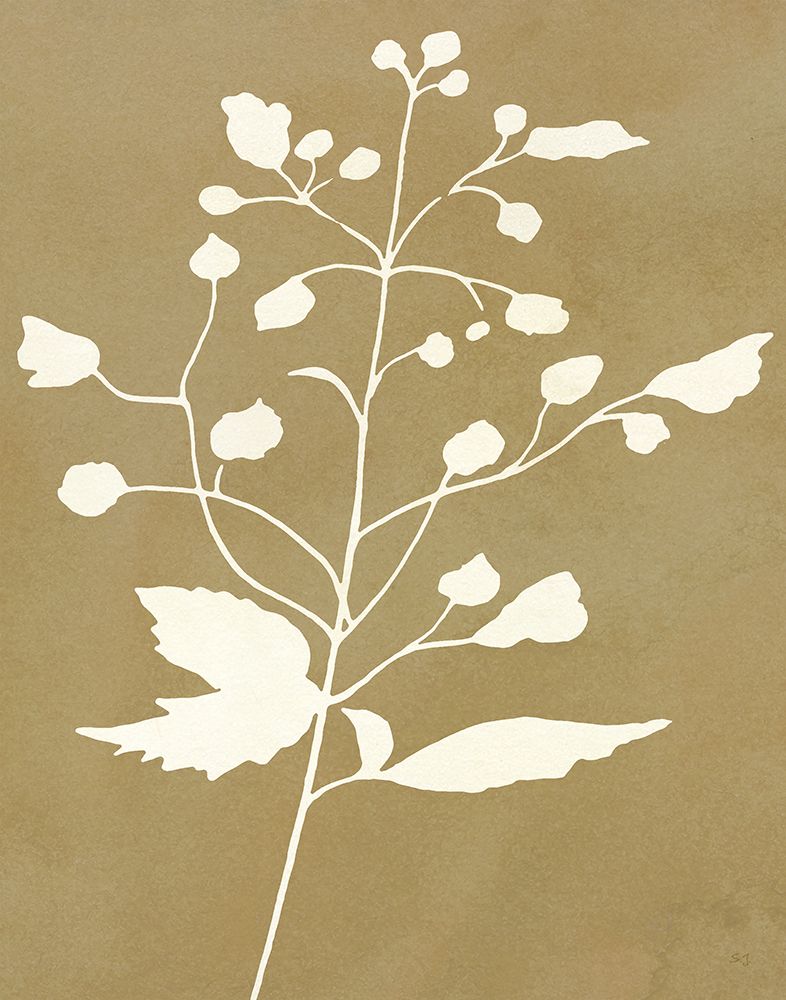 Honey Botanical II art print by Susan Jill for $57.95 CAD