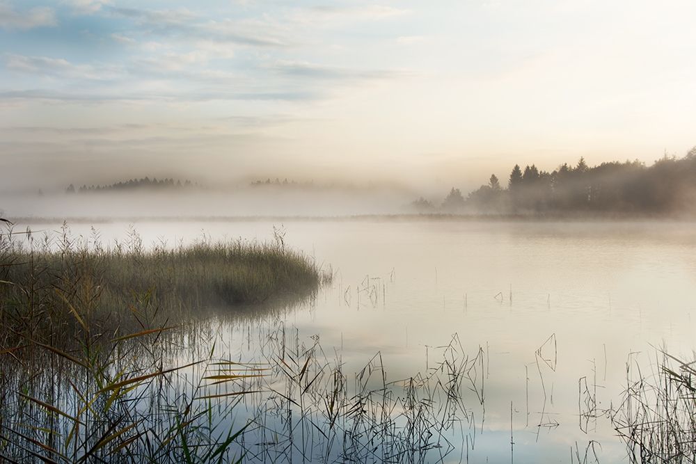 A New Day art print by Irene Weisz for $57.95 CAD