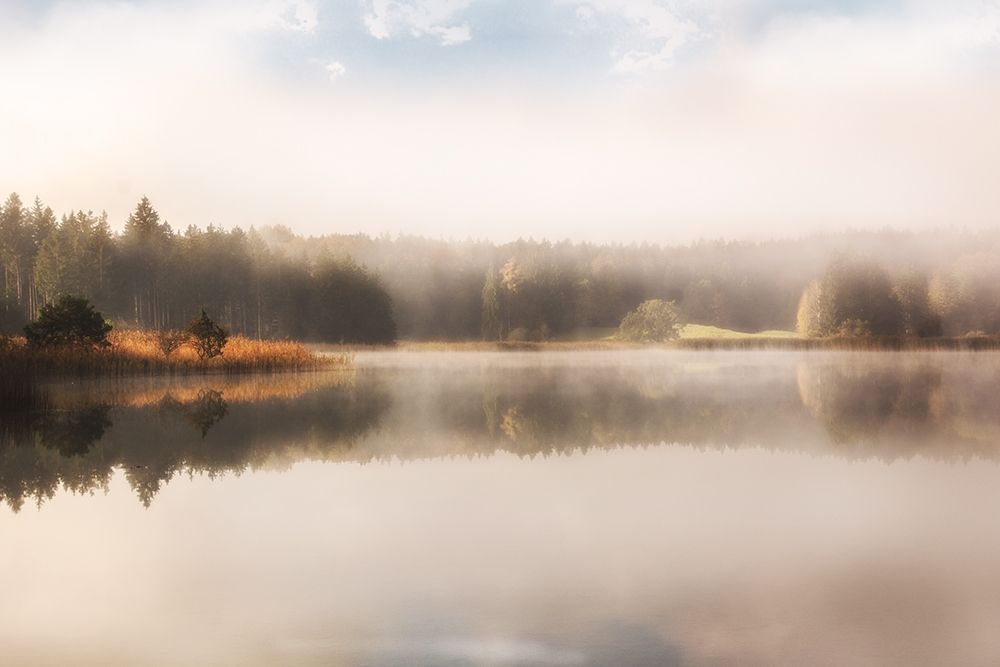 Cosy Nature art print by Irene Weisz for $57.95 CAD