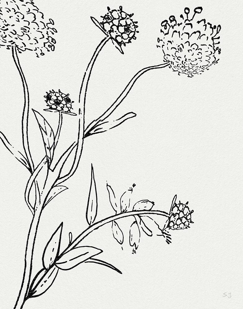 Botanical Study I art print by Susan Jill for $57.95 CAD