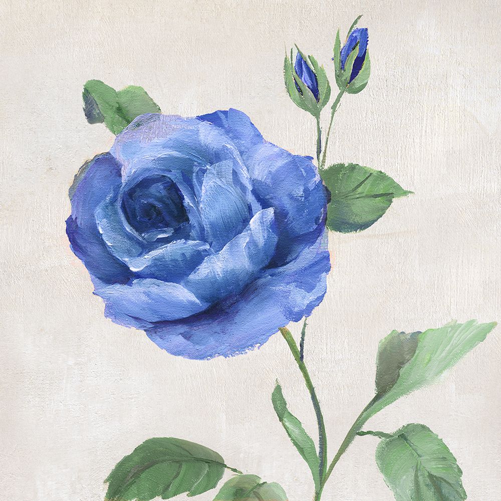 Blue Grandiflora I art print by Nan for $57.95 CAD