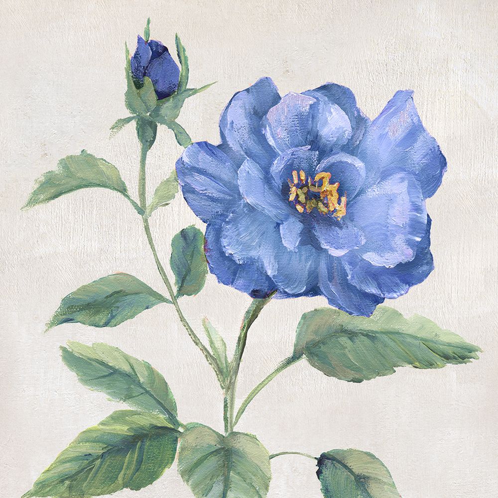 Blue Grandiflora II art print by Nan for $57.95 CAD