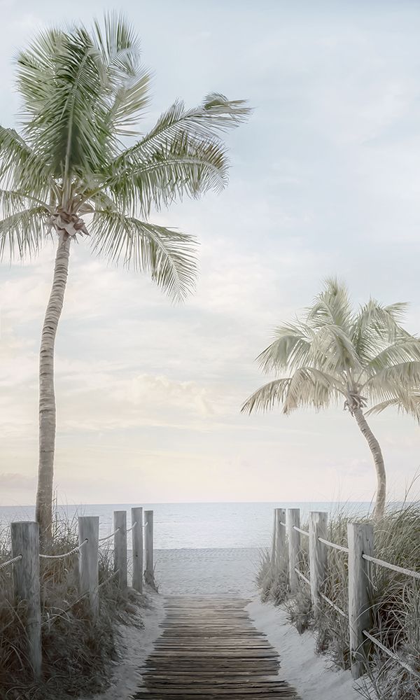 Palm Walk art print by Mike Calascibetta for $57.95 CAD