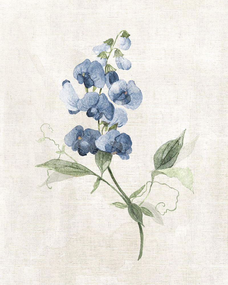Farmhouse Periwinkle II art print by Carol Robinson for $57.95 CAD
