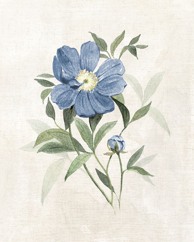 Farmhouse Periwinkle III art print by Carol Robinson for $57.95 CAD