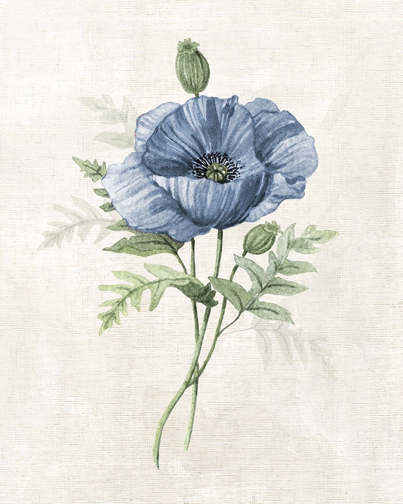 Farmhouse Periwinkle IV art print by Carol Robinson for $57.95 CAD