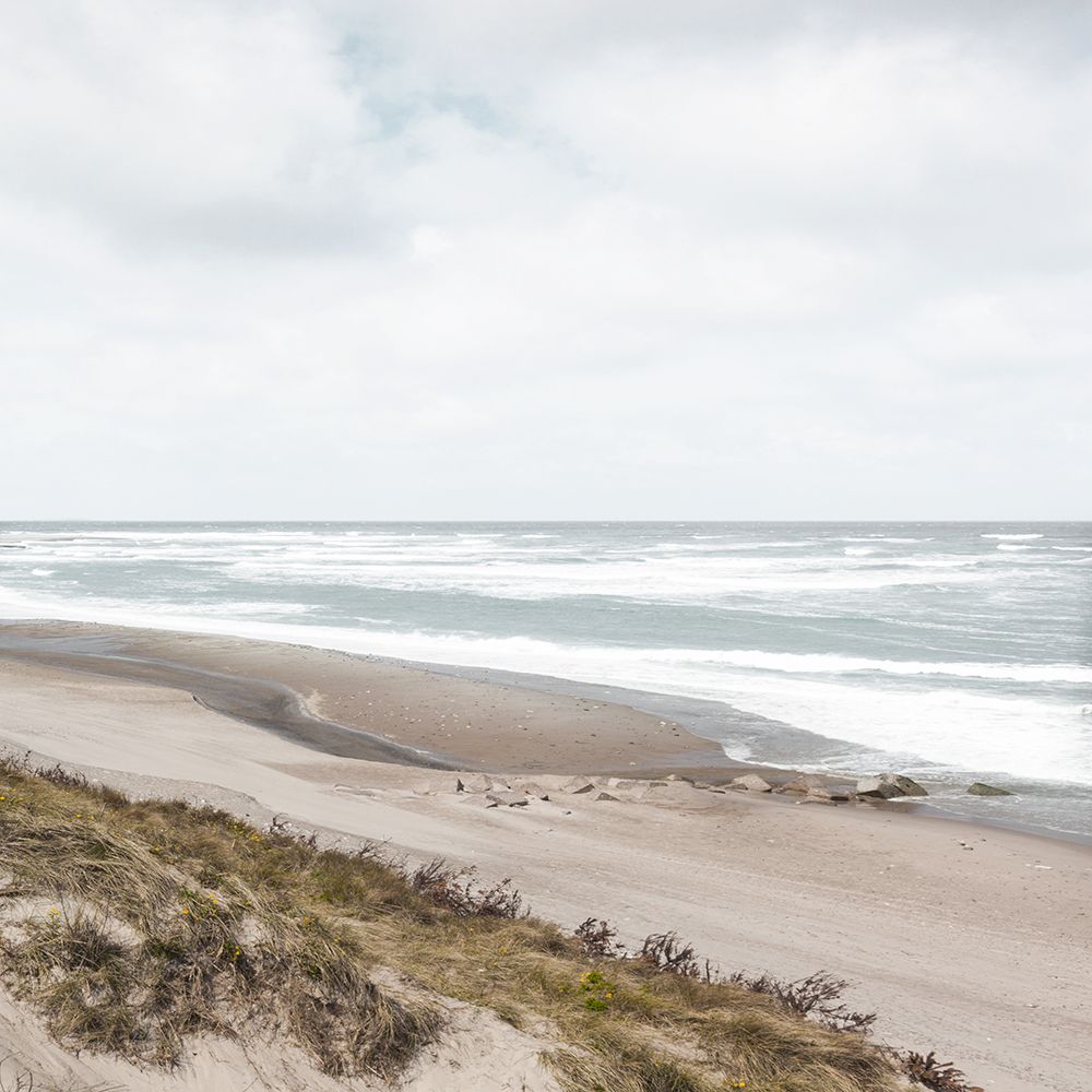 Windswept art print by Danita Delimont for $57.95 CAD