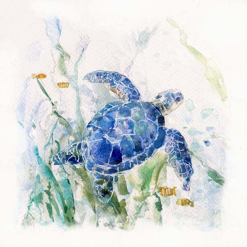 Turtle Cove I art print by Sally Swatland for $57.95 CAD
