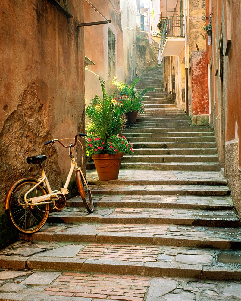 Cinque Terre art print by Danita Delimont for $57.95 CAD
