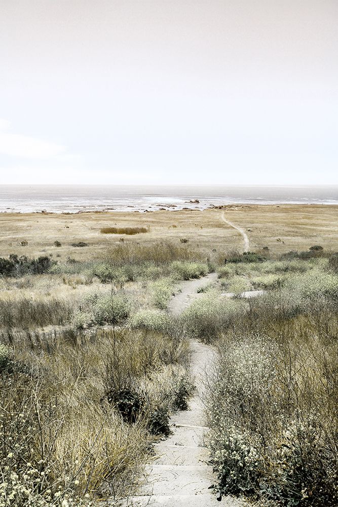 Footpath to Paradise art print by Danita Delimont for $57.95 CAD