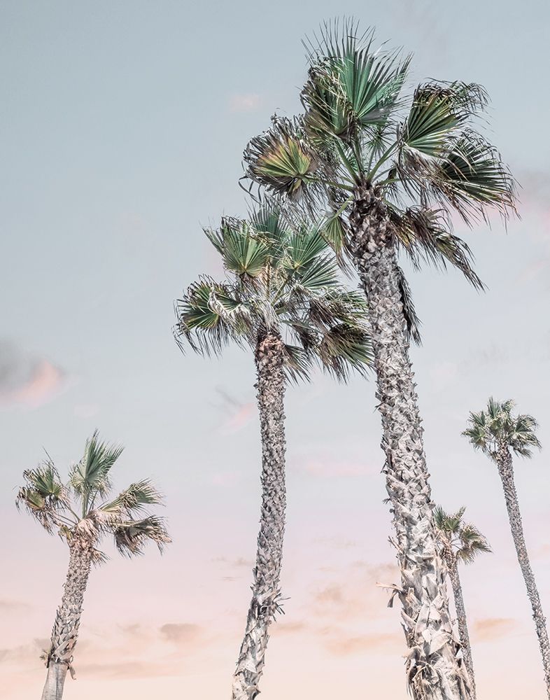 Palms Up I art print by Natalie Carpentieri for $57.95 CAD