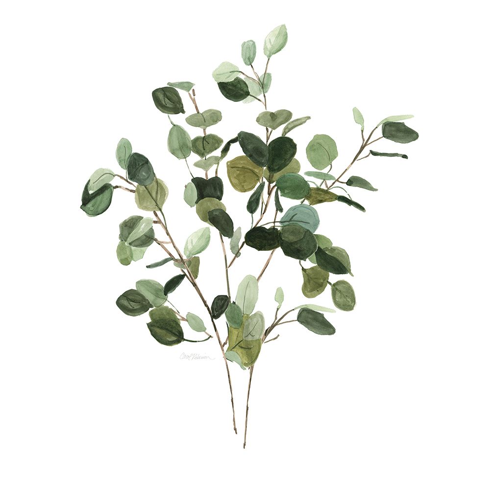 Bunchy Botanical I art print by Carol Robinson for $57.95 CAD