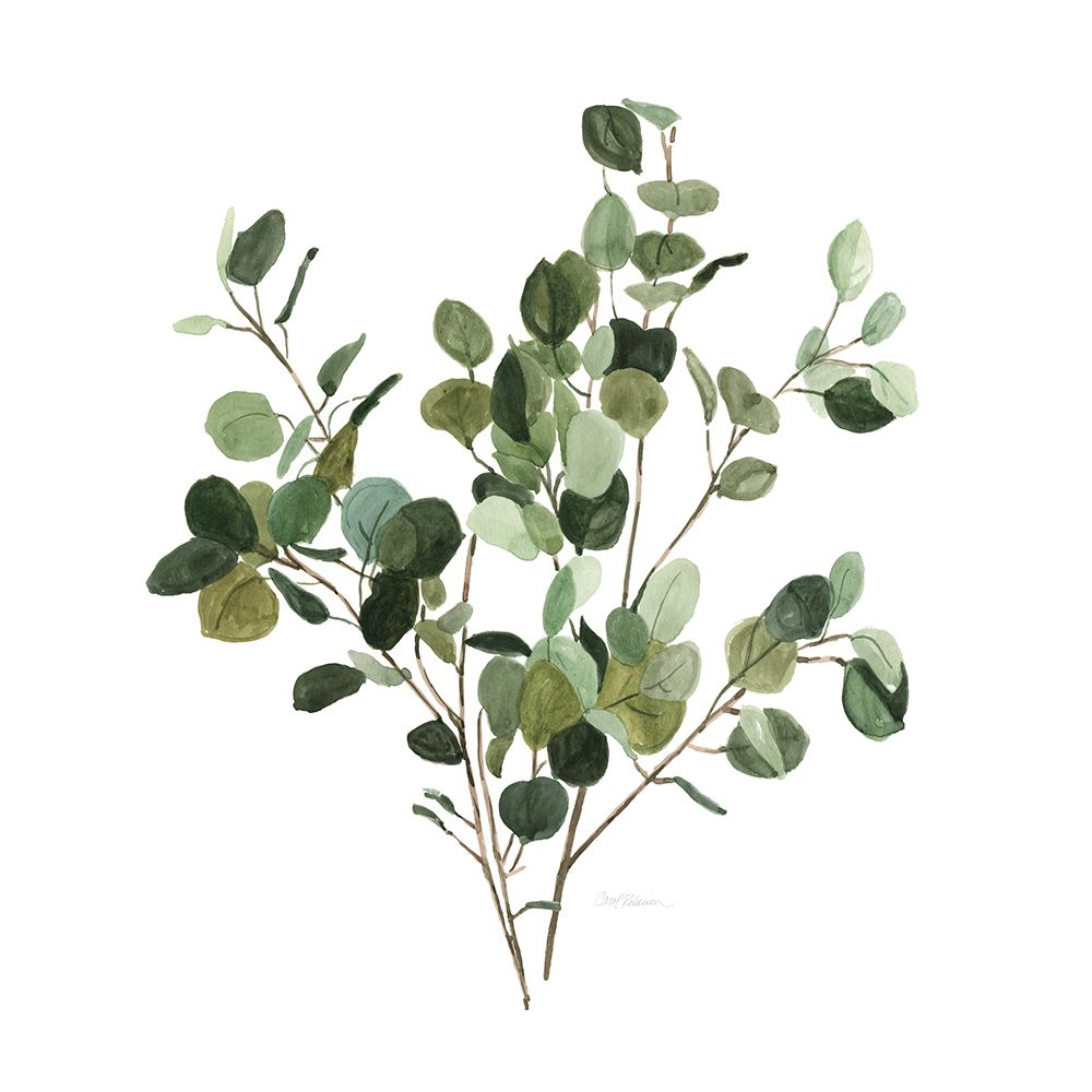Bunchy Botanical II art print by Carol Robinson for $57.95 CAD