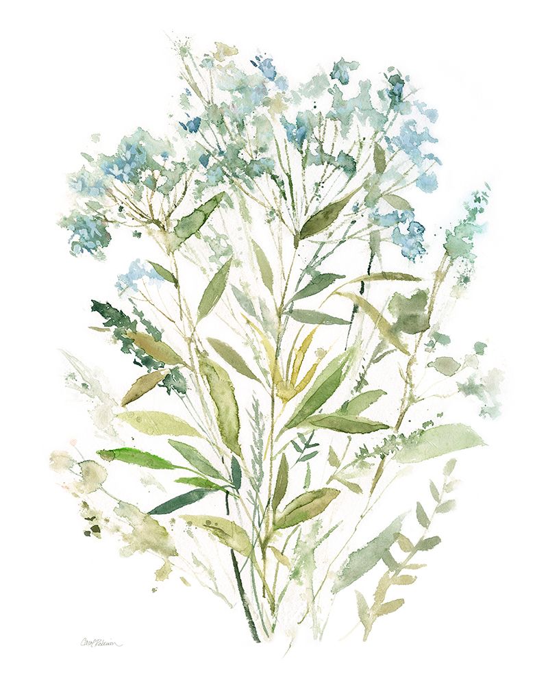 Garden Lace I art print by Carol Robinson for $57.95 CAD