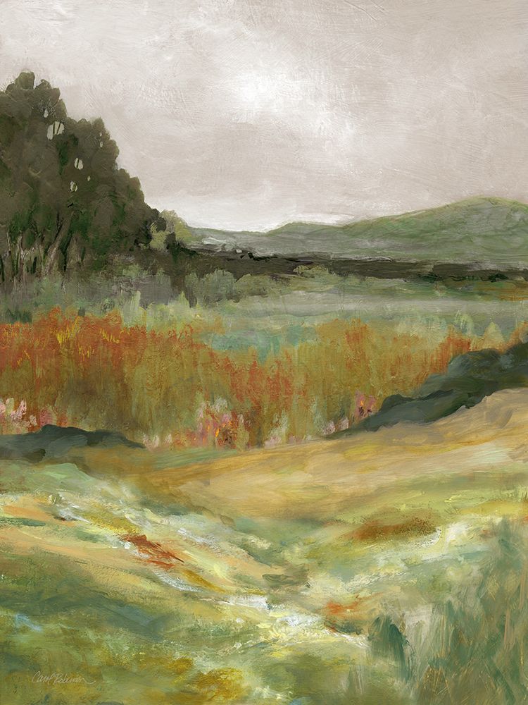 Afternoon Expanse art print by Carol Robinson for $57.95 CAD