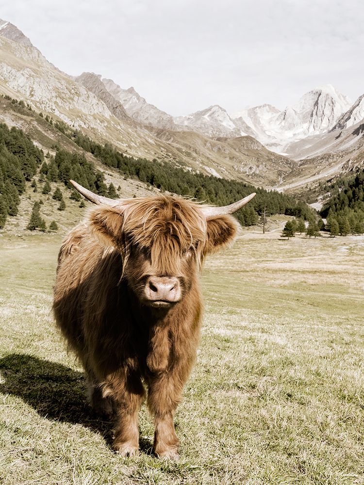 Oetztal Alps art print by Danita Delimont for $57.95 CAD