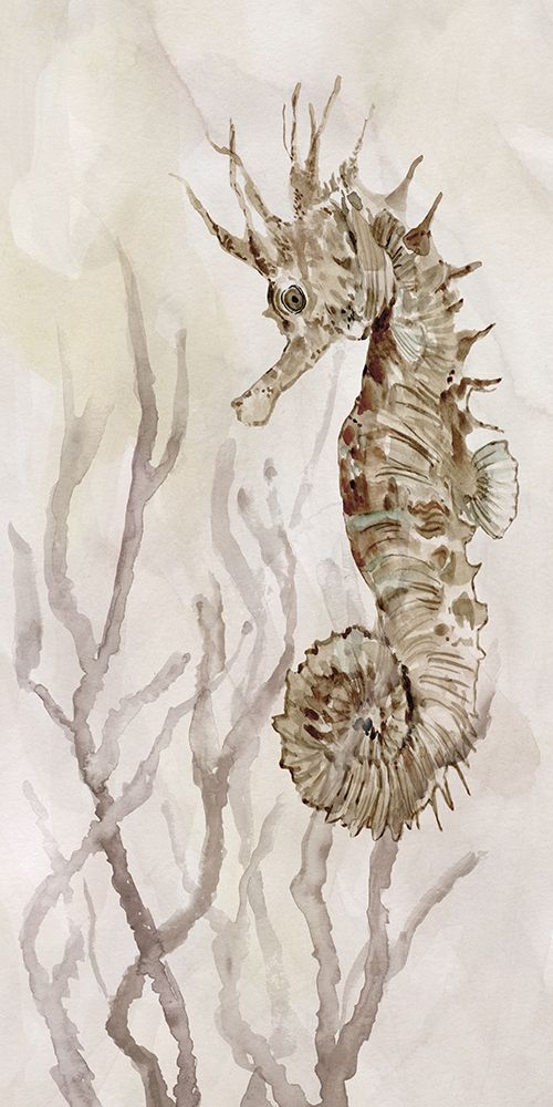 Neutral Seahorse II art print by Carol Robinson for $57.95 CAD