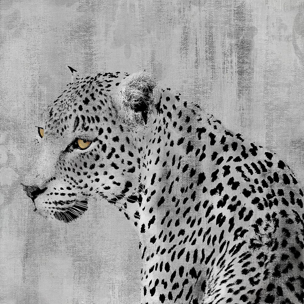 Cat Pause art print by Carol Robinson for $57.95 CAD