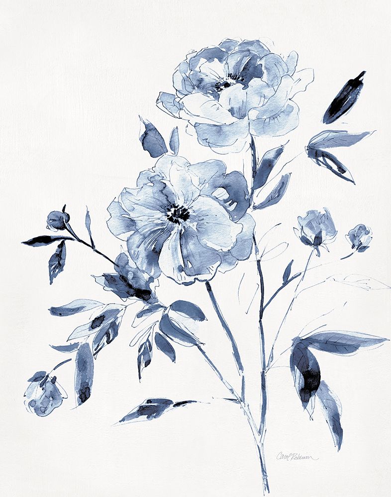 Inky Chickory Botanical II art print by Carol Robinson for $57.95 CAD