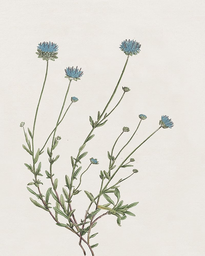Blue Wispy I art print by Kelly Donovan for $57.95 CAD