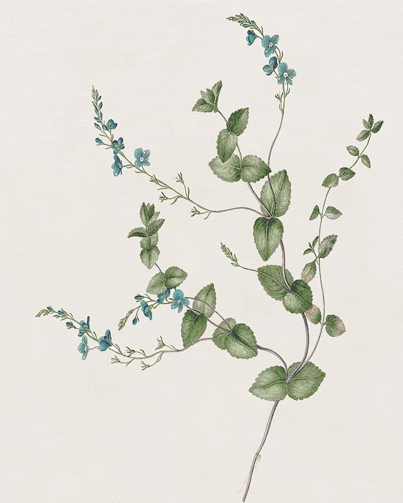 Blue Wispy II art print by Kelly Donovan for $57.95 CAD