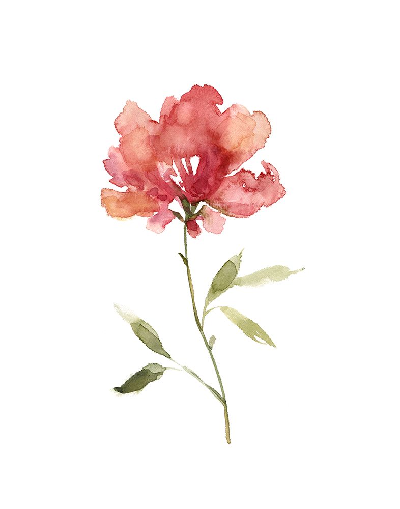 Botanical Beauty I art print by Carol Robinson for $57.95 CAD