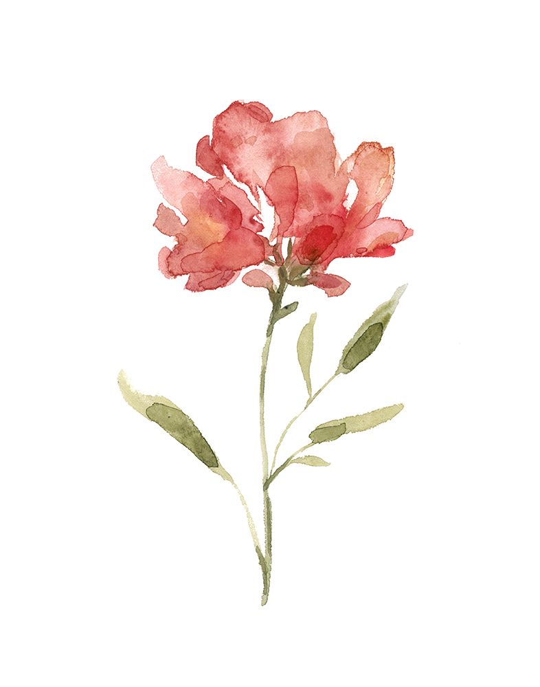 Botanical Beauty II art print by Carol Robinson for $57.95 CAD