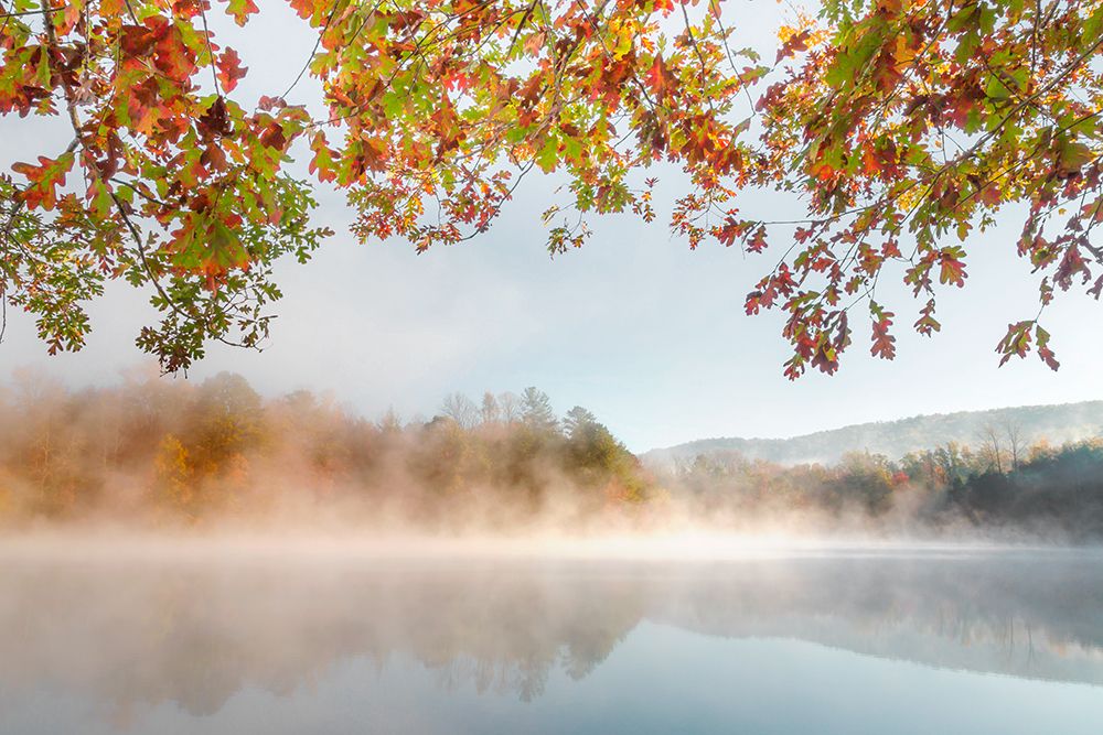 Autumn Misty art print by Danita Delimont for $57.95 CAD