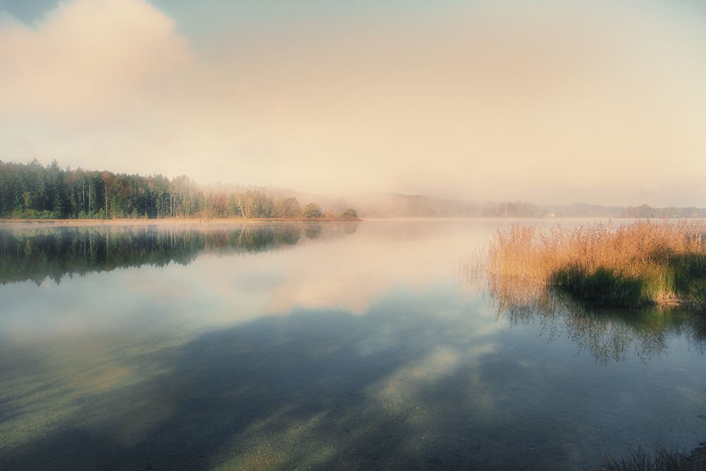 East Lake art print by Irene Weisz for $57.95 CAD