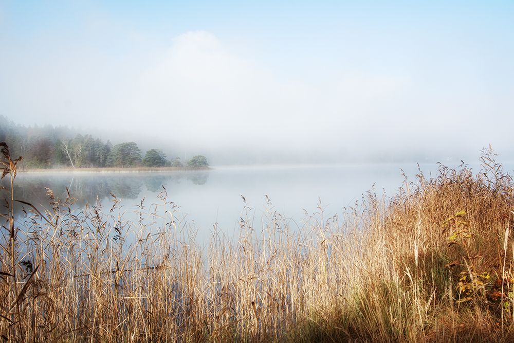 Enjoy Lovely Nature art print by Irene Weisz for $57.95 CAD