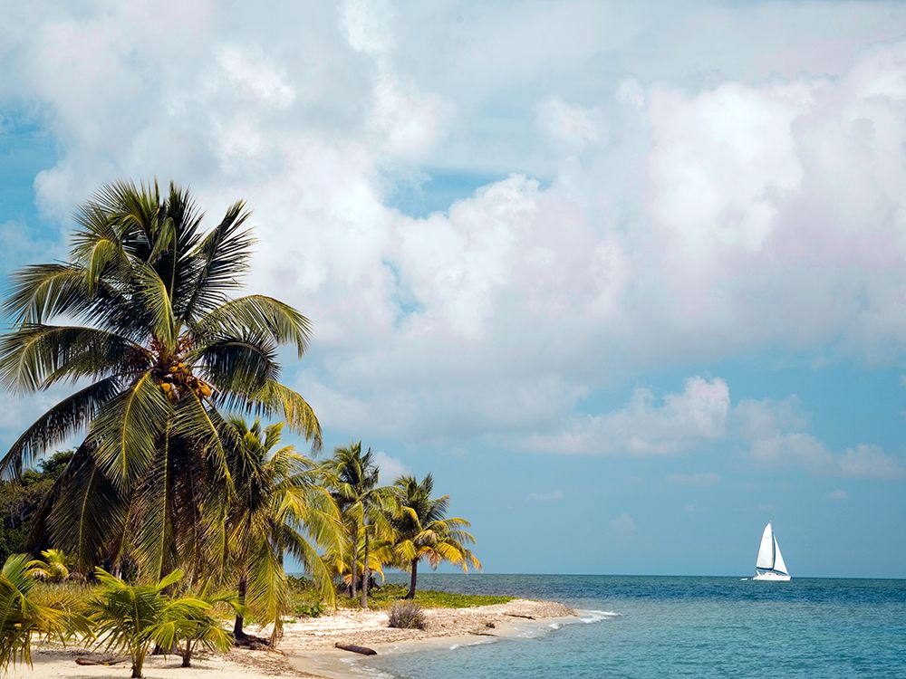 Caribbean Sea art print by Danita Delimont for $57.95 CAD