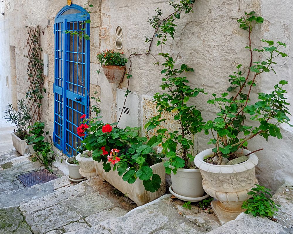 Front Door Oasis art print by Danita Delimont for $57.95 CAD