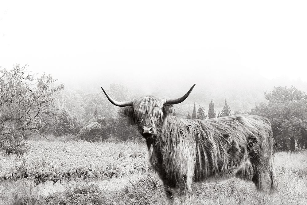 Highland Crossing art print by Danita Delimont for $57.95 CAD