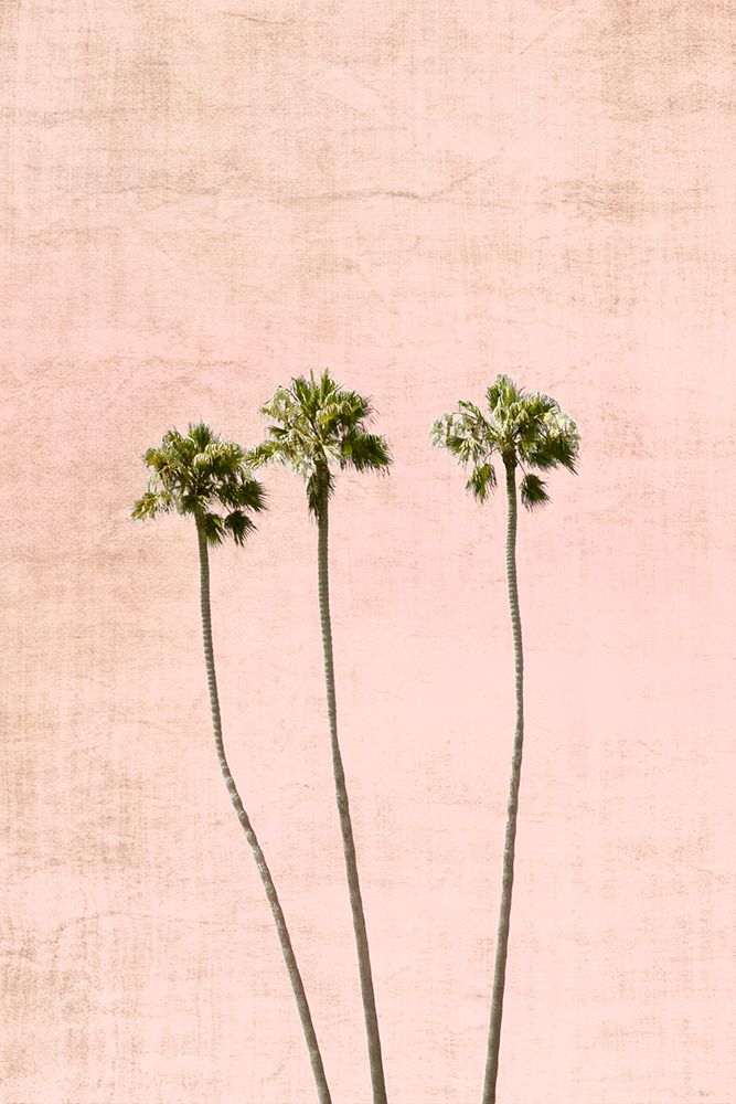 Think Pink art print by Natalie Carpentieri for $57.95 CAD