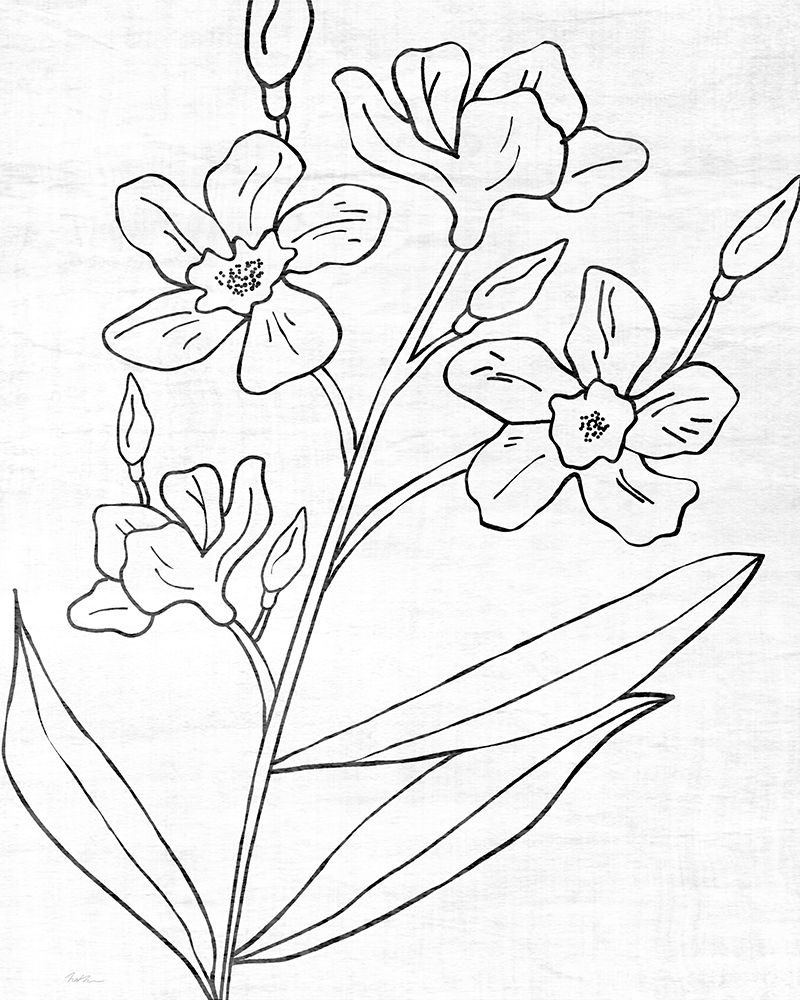 Botanical Sketch I art print by Natalie Carpentieri for $57.95 CAD