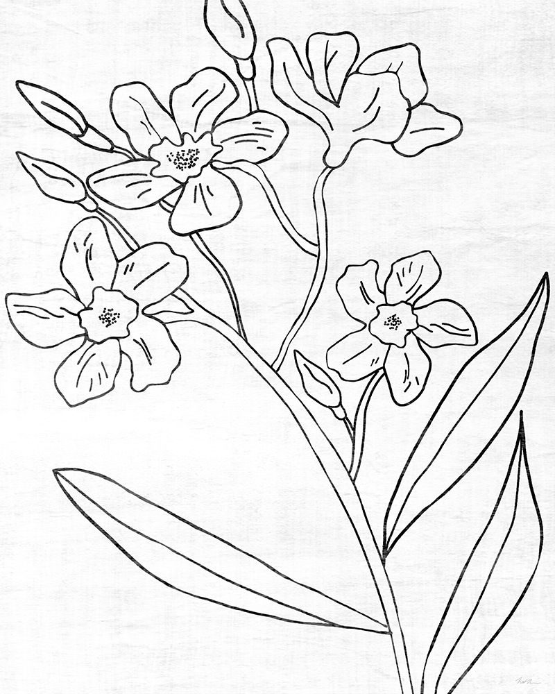 Botanical Sketch II art print by Natalie Carpentieri for $57.95 CAD
